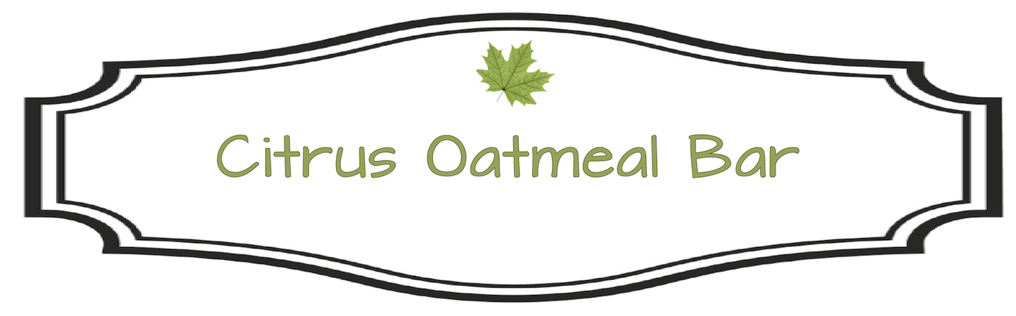 Citrus Oatmeal Bar